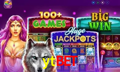Segurança e performance na plataforma ytbet